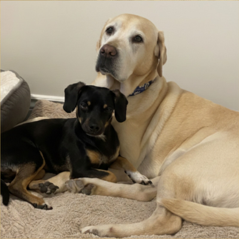 Callie & Pixie Callie & Pixie